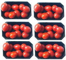 Tomaten-6x9.jpg